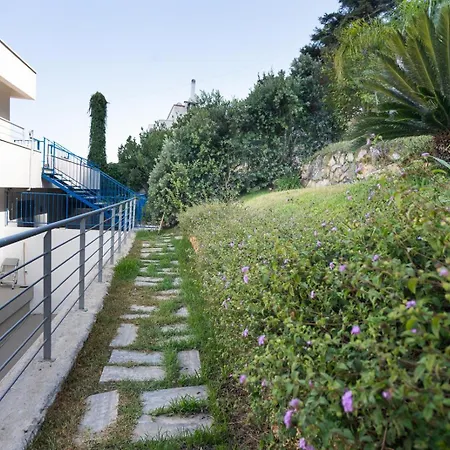 Guest house Mondello Addaura Addisio *